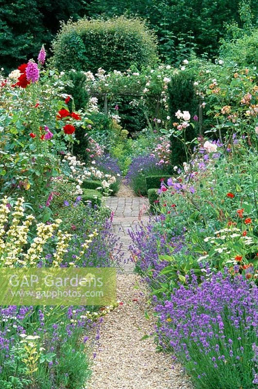 Jardin de campagne formel avec chemin de gravier bordé de Lavandula 'Hidcote', Rosa et Sisyrinchium striatum à Frith Lodge à Sussex
