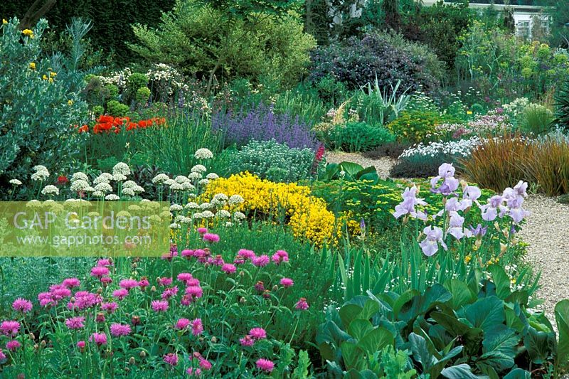 Jardin sec avec plantation colorée à Beth Chatto Garden, Elmstead Market à Essex