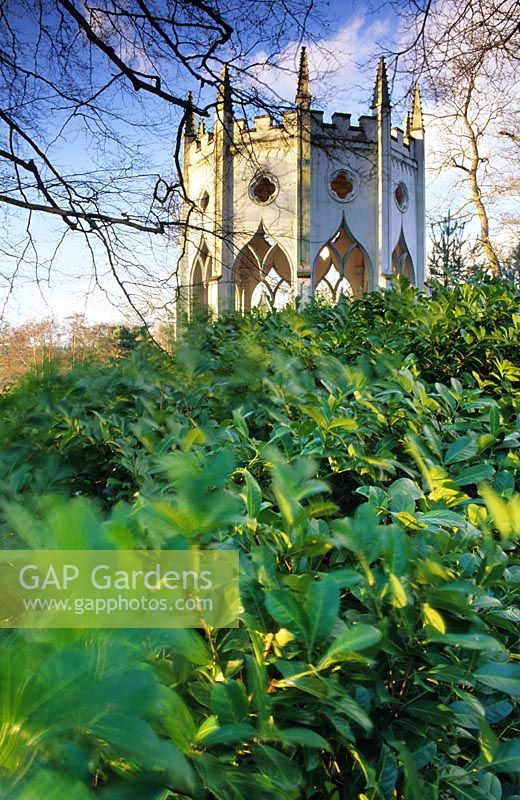 Temple gothique à Painshill à Surrey avec Prunus lusitanica en premier plan