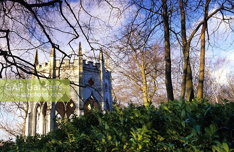 Temple gothique à Painshill à Surrey avec Prunus lusitanica en premier plan