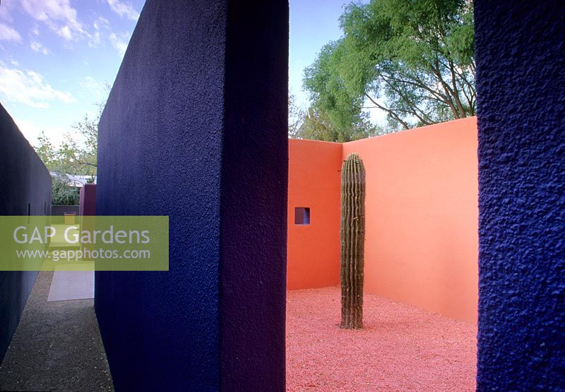 Jardin de chambres peintes à El Paso USA