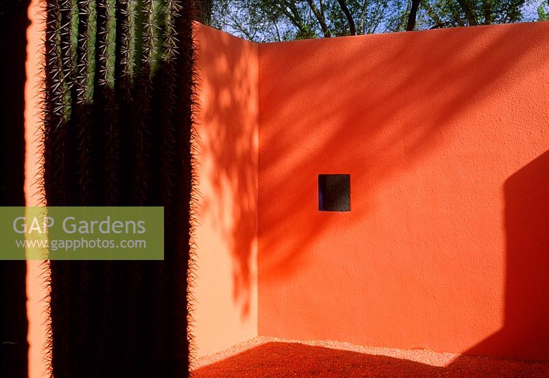 Jardin de chambres peintes à El Paso USA