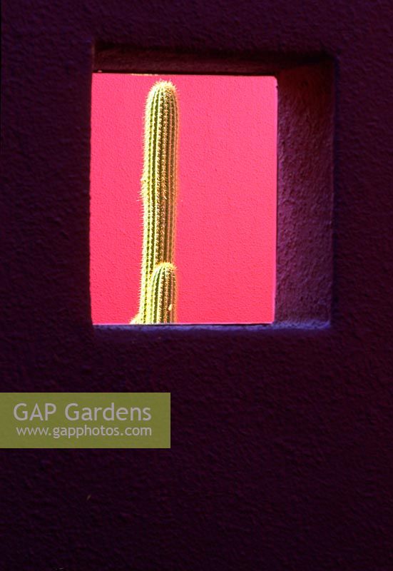 Murs peints avec trou carré, vue sur Cactus, jardin de chambres peintes à El Paso USA
