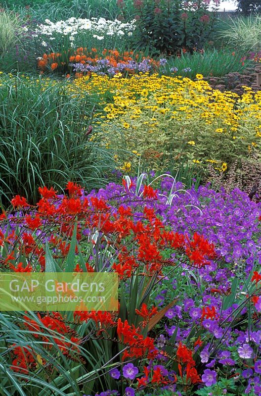 Parterre de fleurs d'été avec vivaces à Bressingham Gardens à Norfolk