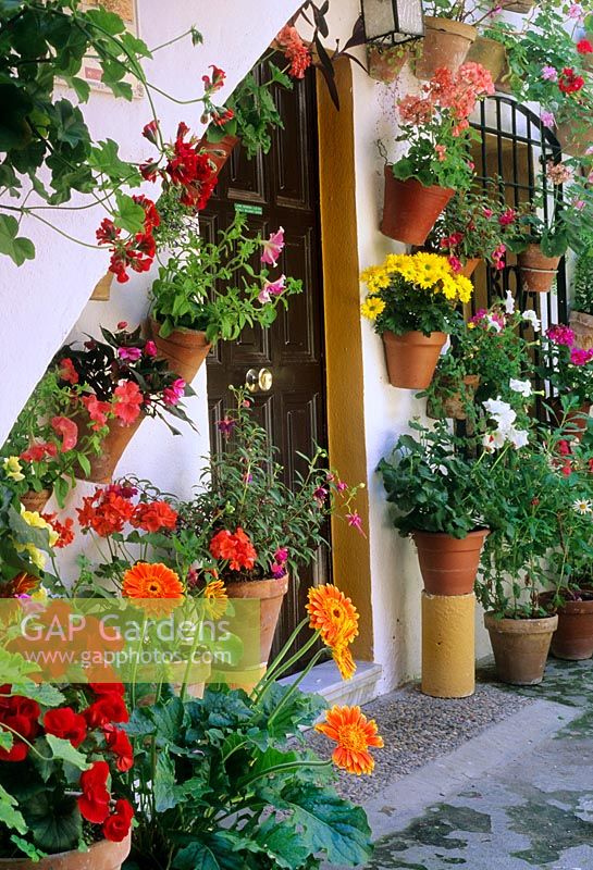 Pots en terre cuite fixés au mur avec Pétunia, Pelargonium, Chrysanthème sur mur blanc Cordoue en Espagne