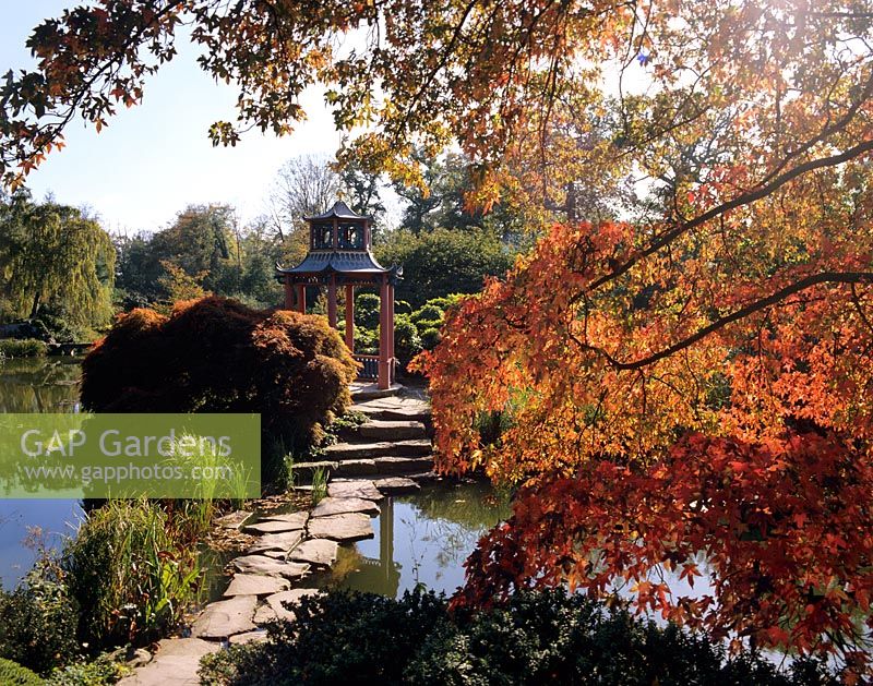 Jardin boisé japonais avec pagode. Cliveden, Buckinghamshire