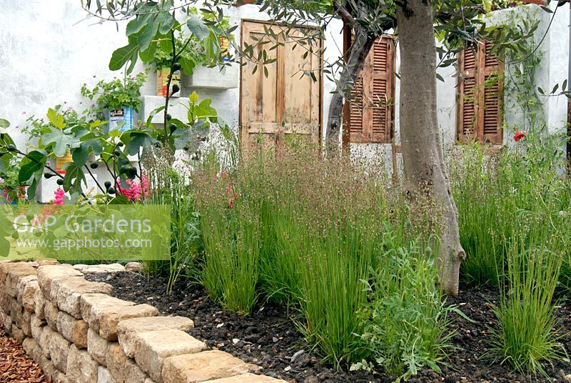 Le jardin de la cour libanaise avec des parterres de fleurs surélevés plantés de Briza et de Papaver sous un olivier