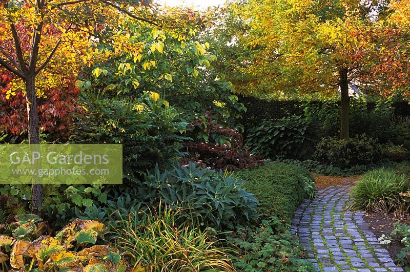 Jardin d'automne avec des arbustes, des arbres et un chemin pavé