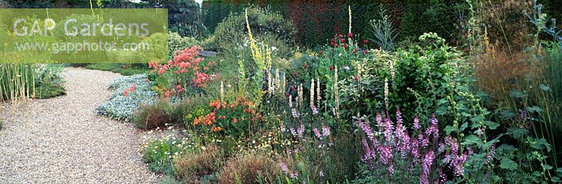 Parterre d'été mixte - Jardin sec de Beth Chatto, Elmstead Market, Colchester, Essex