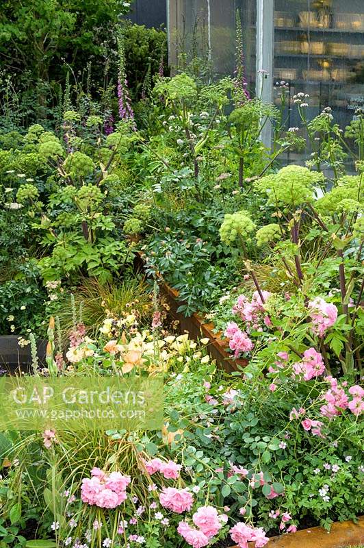 Le Wedgewood Garden, conçu par Jo Thompson, parrainé par Wedgwood, RHS Chelsea Flower Show, 2019.