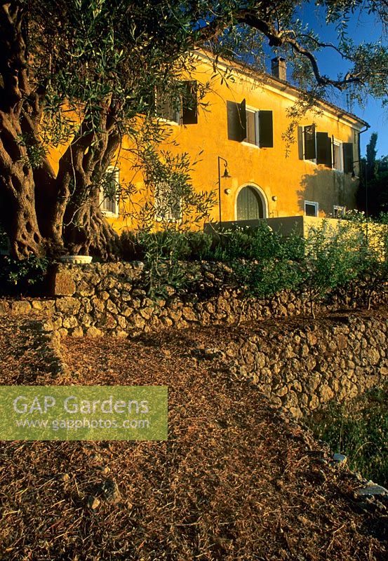 Jardin méditerranéen avec parterres nus surélevés - Lumière de fin de soirée sur les murs de la maison - Corfou
