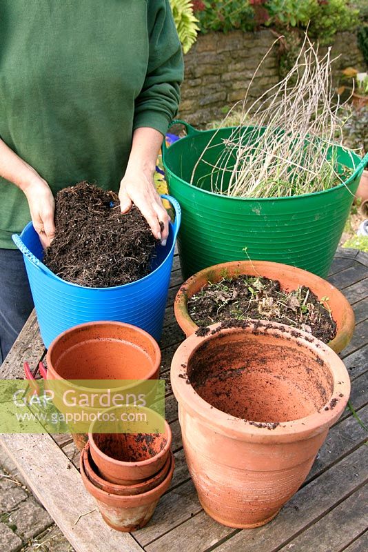 Rangé d'automne. Vider les pots d'été, les vieilles plantes dans le tas de compost, le compost usé collecté séparément pour aller directement dans le jardin.