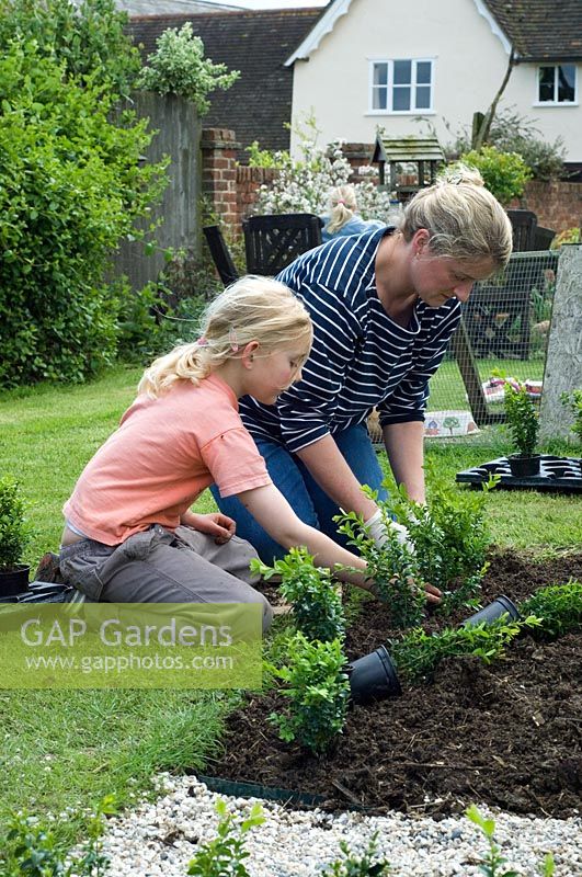 Femme et fille plantant de jeunes plantes en boîte dans un nouveau jardin parterre - Pannells Ash Farm, Essex