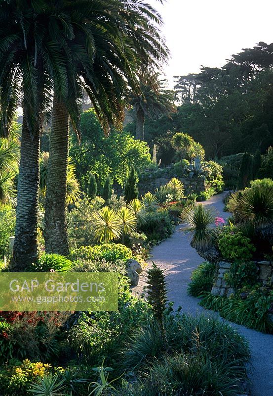 Aperçu du chemin à travers le célèbre jardin subtropical ouvert au public - Abbey Gardens, Tresco, Scilly Isles