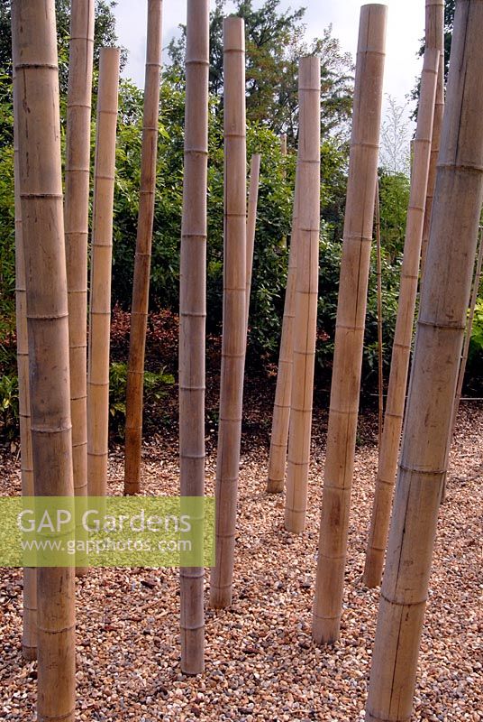 'Impressions of Bamboo 'de Jenny Muncaster exposée au Harold Hillier Gardens, Hampshire