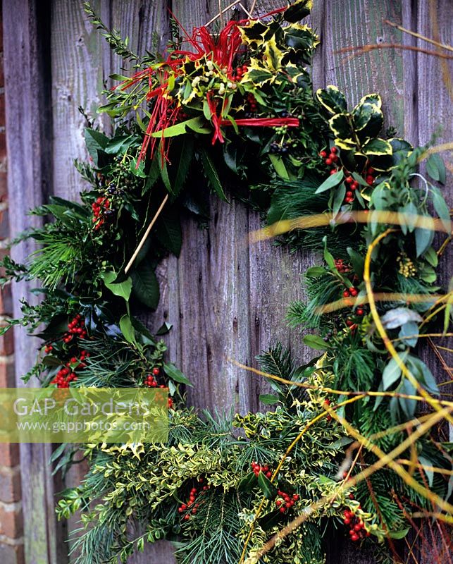 Couronne de Noël sur porte patinée en Ilex - Houx, Taxus - If, Buxus - Boîte et Cedrus - Cèdre