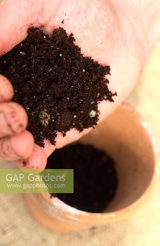 Planter des graines simples en pot - Remplir le pot de compost