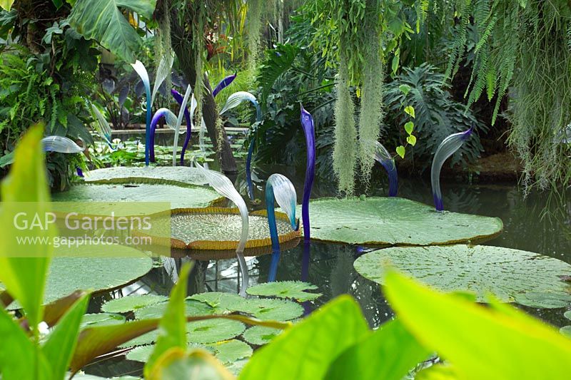 'Blue Herons 'au Conservatoire de la Princesse de Galles, Royal Botanic Garden Kew - Jardins de Verre - Chihuly à Kew 2005-2006 - Art du verre soufflé flamboyant par l'artiste verrier américain Dale Chihuly