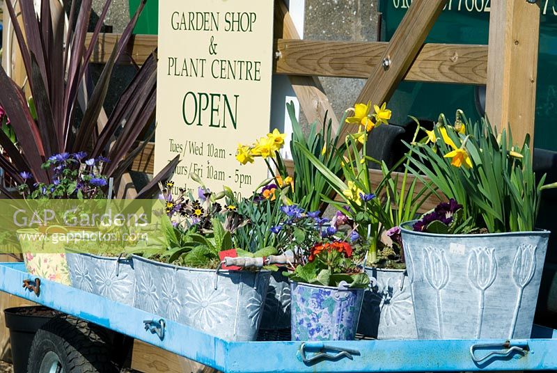 Boutique de jardin avec des fleurs de printemps et des bulbes en pots sur une tolley, mars - Peapod Garden Shop and Plant Center, La Hogue Farm, Chippenham, Newmarket