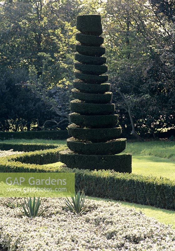 Piliers coniques en spirale Taxus dans le jardin à la française - Cliveden, Buckinghamshire