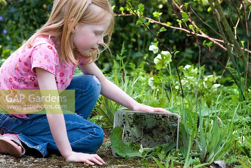 Fille de six ans faisant une maison pour les insectes du jardin, y compris les coccinelles