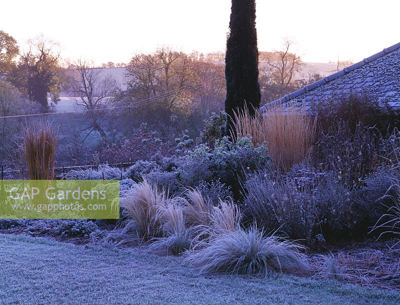 Parterres givrés avec vue sur la campagne au-delà au jardin Pettifers, Oxfordshire