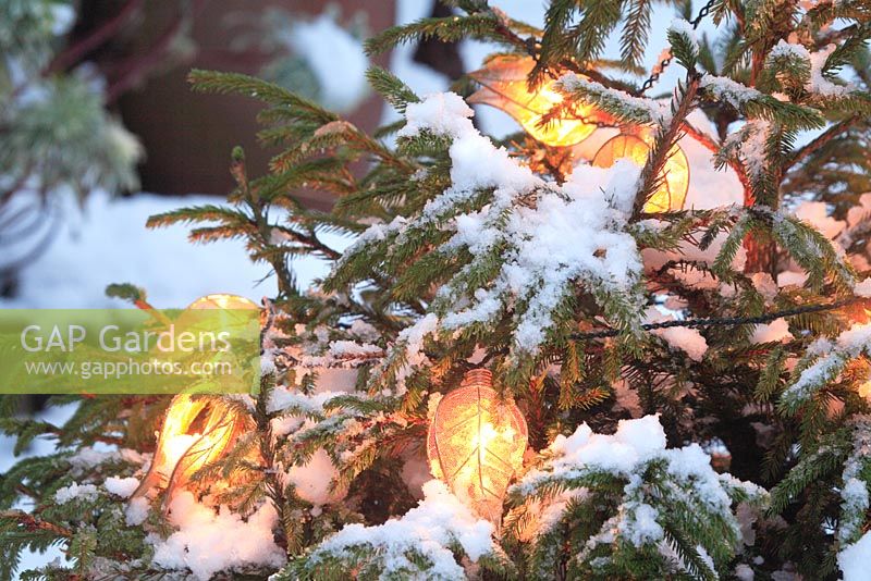 Guirlande lumineuse sur un arbre de Noël dans un jardin couvert de neige