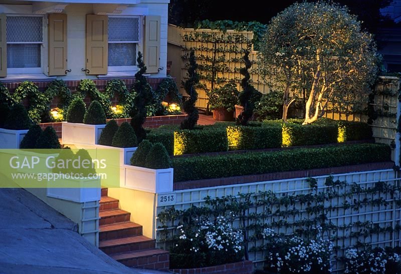 Jardin avant avec marches et topiaire Buxus éclairé par des uplighters - San Fransisco USA