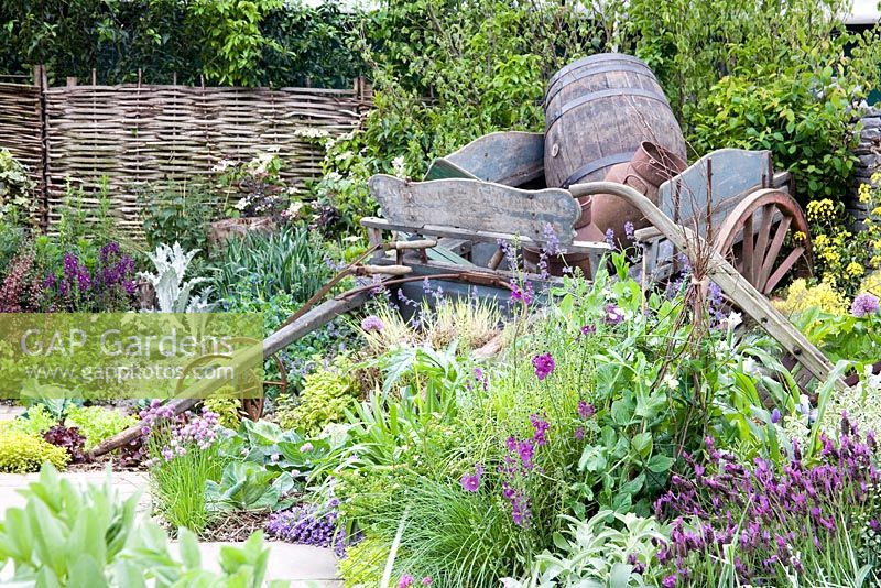 Vieux chariot, clôtures tissées, Verbascum, lavande, Hosta et ciboulette dans le jardin paysager de Brett, Chelsea 2007
