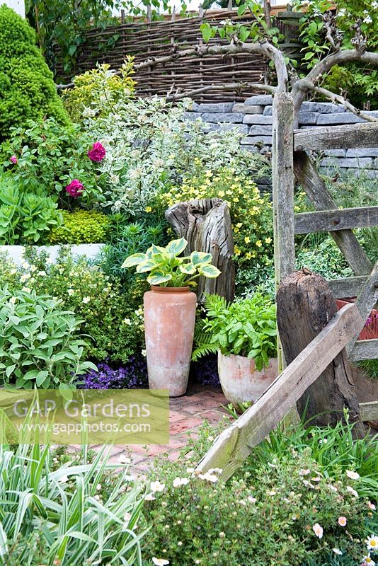 Vieille clôture en bois, Potentilla, lavande, roses et chemin pavé de briques dans le 'Jardin en milieu rural' - Le jardin paysager de Brett, Chelsea 2007