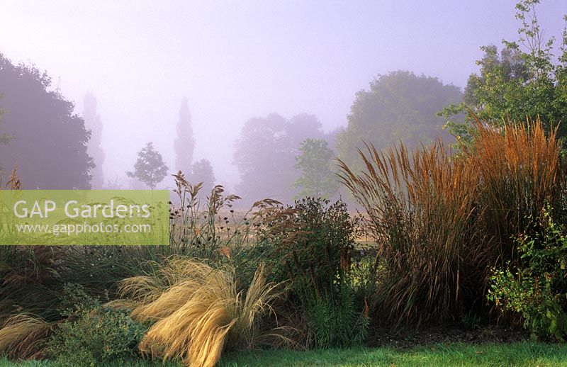 Parterre d'automne d'herbes ornementales avec vue empruntée du paysage environnant naturel à Broomers Hill House dans le Sussex. Conception - Fiona Lawrenson
