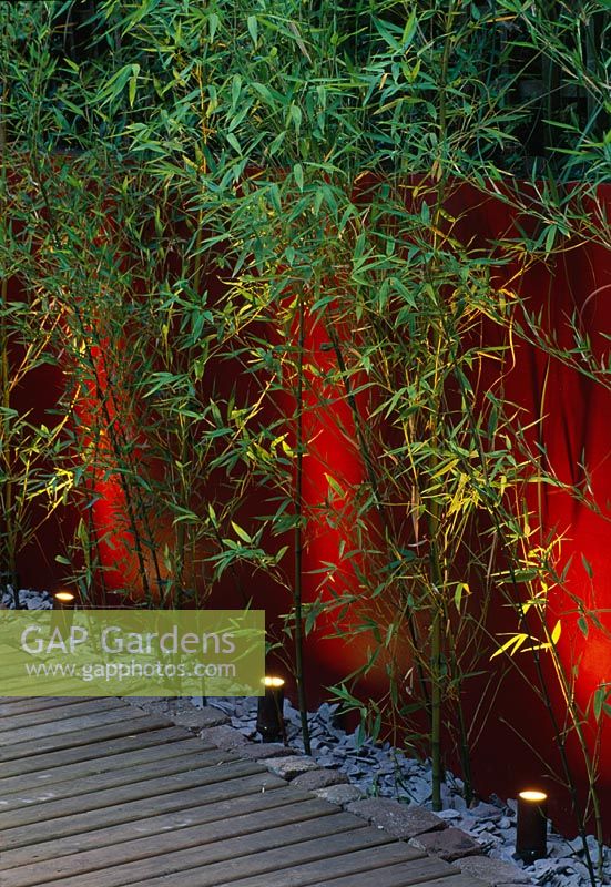 Mur peint en rouge avec Phyllostachys aurea éclairé par le dessous