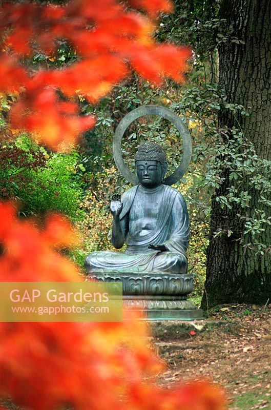 Le buddah en bronze dans le jardin d'automne