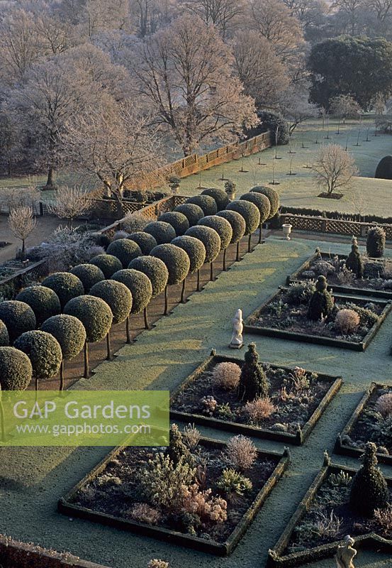 Vue d'ensemble du jardin d'hiver glacial - Hatfield House dans le Hertfordshire. Sphères de chêne vert topiarisées de Quercus ilex