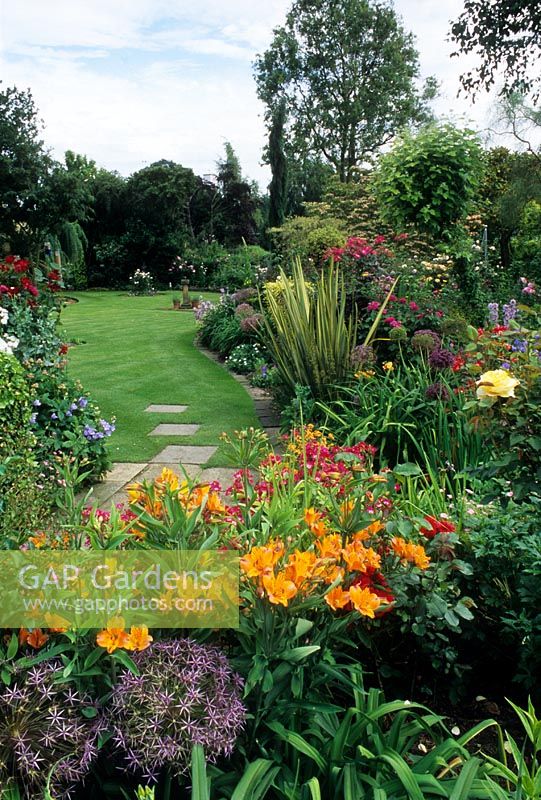 Jardin de campagne rempli de fleurs de style traditionnel avec Rosa 'Marjerie Fair', Rosa 'Sadlers Wells', Alstroemeria, Allium christophii, Allium giganteum et Phormium