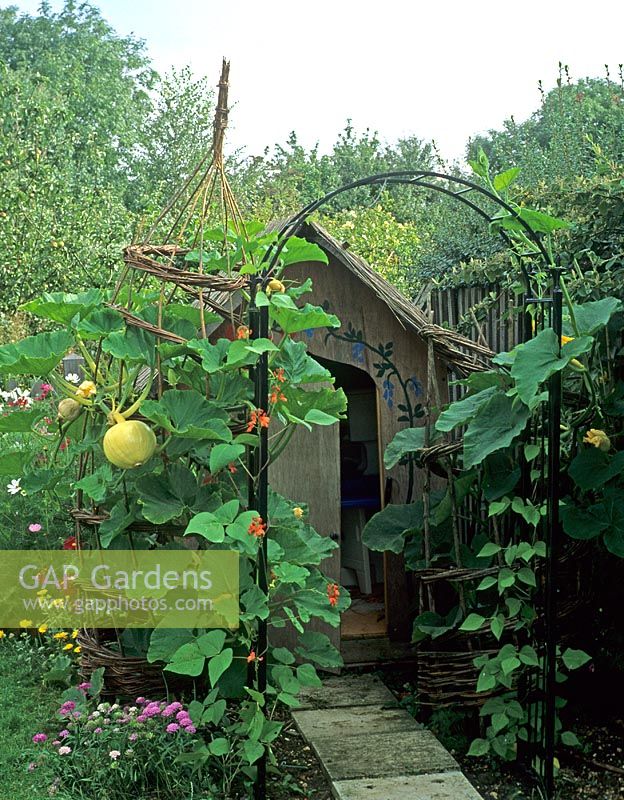 Jardin pour enfants avec maison de jeu, citrouille grimpante, haricots verts, Cosmos et Calendula - Pannells Ash Farm West, Essex