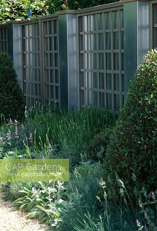 Paravent en treillis métallique et bois avec parterre de fleurs gris, Taxus topiaire et Platanus acerifolia - Sculpture de Christie dans le jardin, Chelsea FS