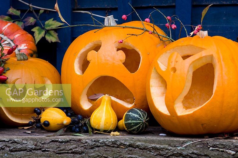 Citrouilles d'Halloween