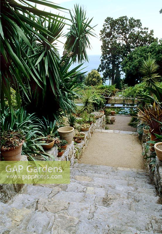 Jardin méditerranéen avec plantation de yuccas et d'agaves résistant à la sécheresse et vue sur mer - Clos du Peyronnet, Menton, Sud de la France