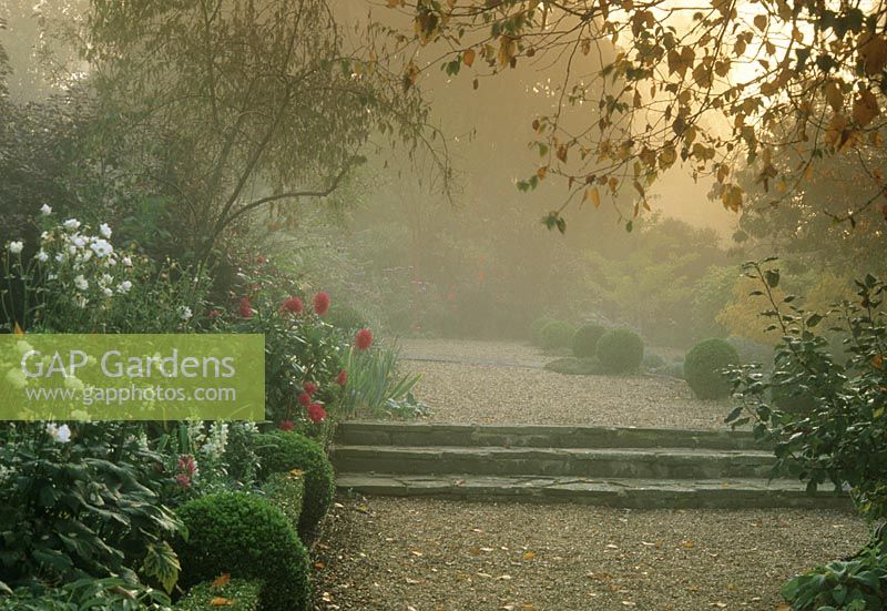 Jardin d'automne formel avec lumière atmosphérique brumeuse, large chemin de gravier et étapes à Sandhill Farmhouse, Rogate, Sussex