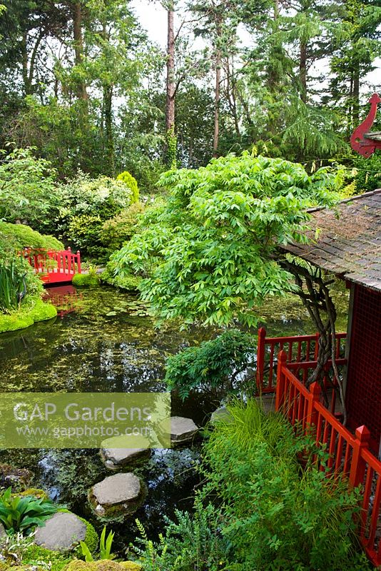 Le jardin à thème japonais - Compton Acres, Dorset