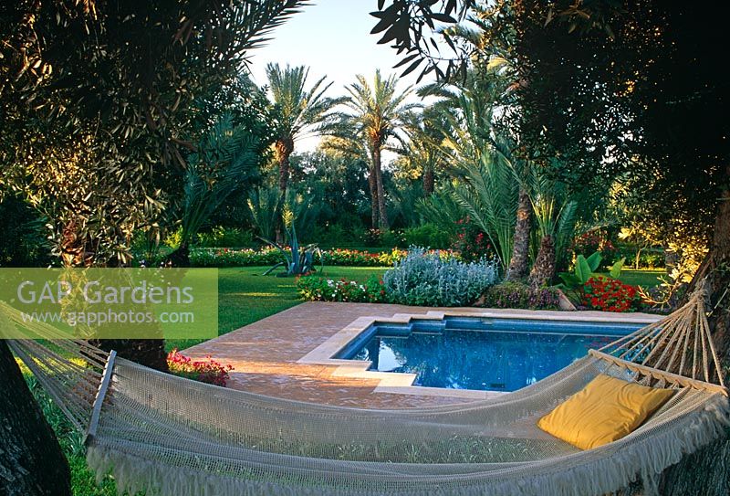 Jardin marocain exotique et ombragé avec palmiers dattiers, hamac et piscine - Marrakech, Maroc