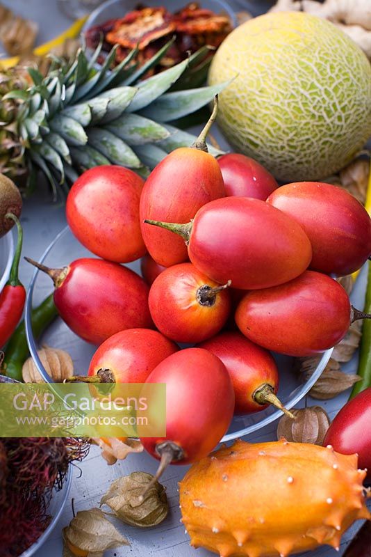 Fruits tropicaux, y compris tamarillo - tomate arborescente, kiwano - melon cornu, ananas et melon