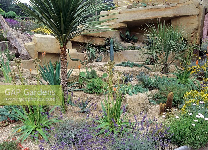 Plantes succulentes et cactus en gravier / rocaille avec chauffage souterrain - Cotswold Wildlife Park and Gardens, Oxfordshire