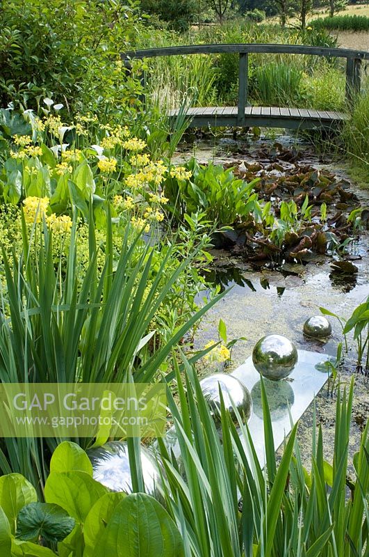 Plantation humide d'Iris, Alchemilla et Lysichiton americanus à côté d'un ruisseau avec pont de style Monet. Sculpture de boules chromées roulant apparemment sur une planche de verre dans l'eau - Tilford Cottage, Surrey