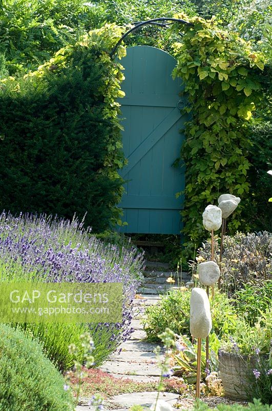 Jardin d'herbes avec chemin menant à la porte peinte en bleu dans une haie d'ifs. Roches montées sur tuyau en cuivre. Humulus lupulus 'Aureus' grimpant sur l'arche de la porte - Tilford Cottage, Surrey
