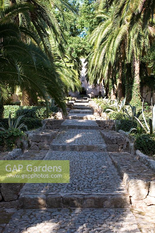 Entrée de Jardines de Alfabia, Majorque avec escalier en galets, palmiers et cactus