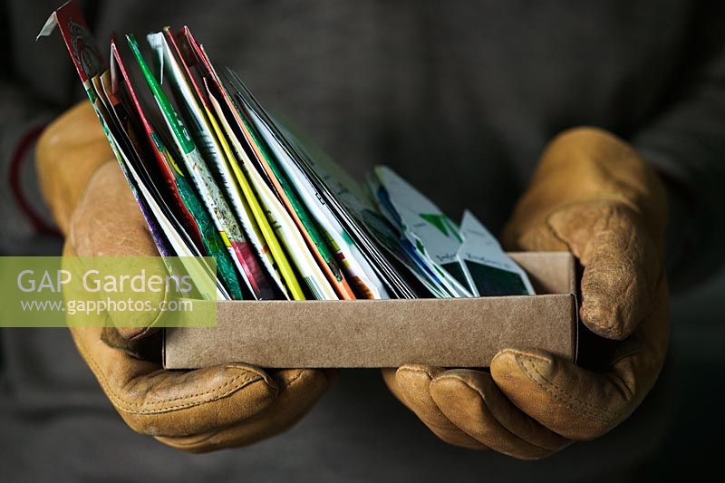 Collection de paquets de semences et d'étiquettes tenues dans des mains gantées