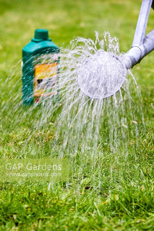 Nourrir la pelouse avec des aliments liquides - Arroser la pelouse