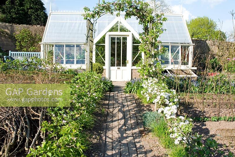 À effet de serre au printemps potager avec step-over espaliered pommes et brick path